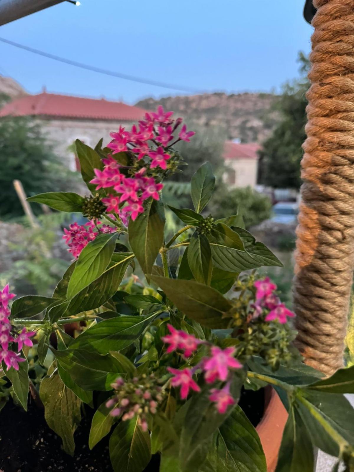 Afroditi'S 1 Eresos  Bagian luar foto