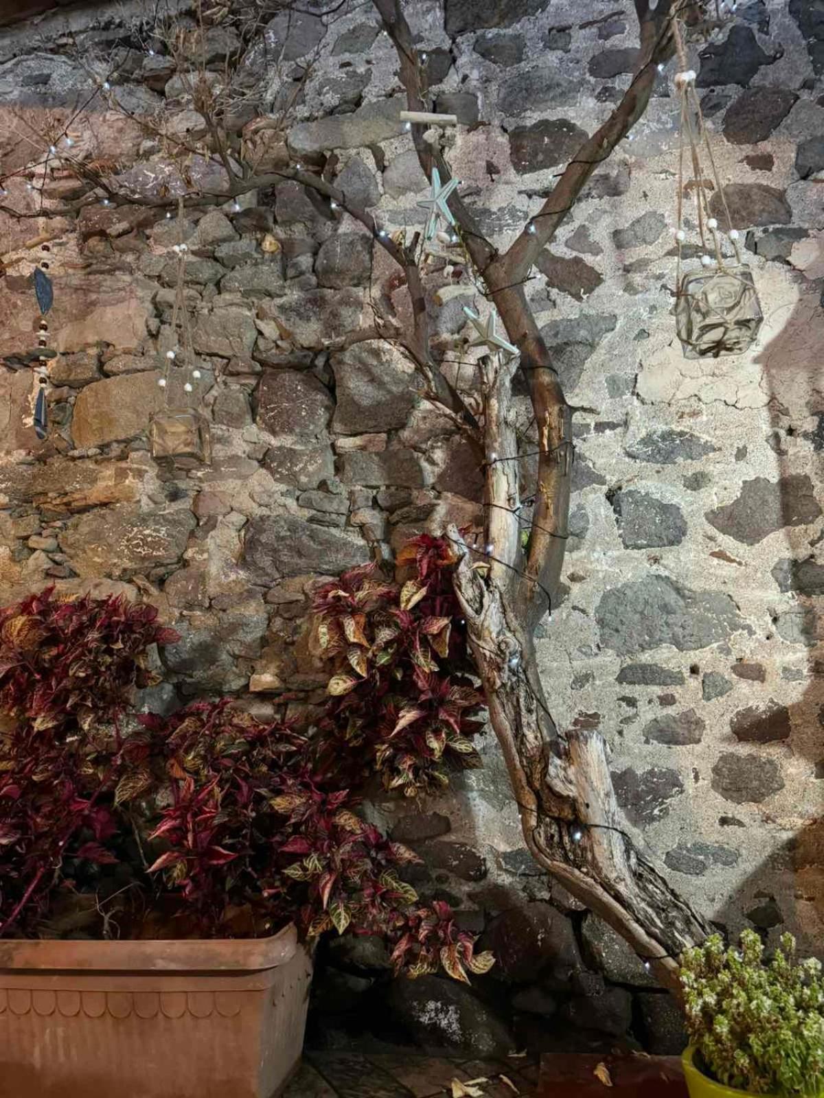 Afroditi'S 1 Eresos  Bagian luar foto